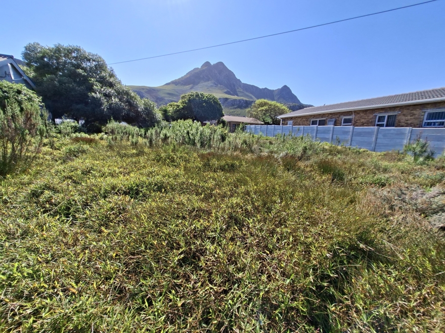 0 Bedroom Property for Sale in Palmiet Western Cape